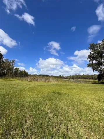 1029 Van Dyke Road Lutz FL 33548