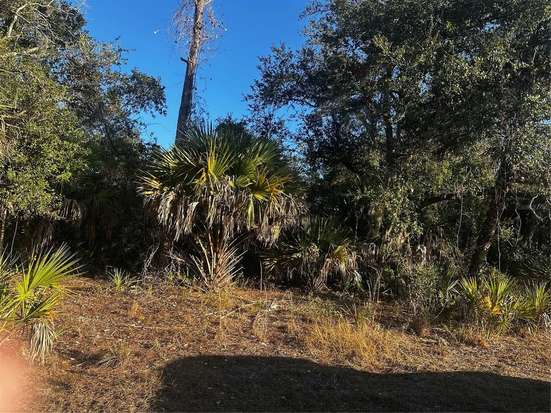 Lanai Avenue North Port FL 34288