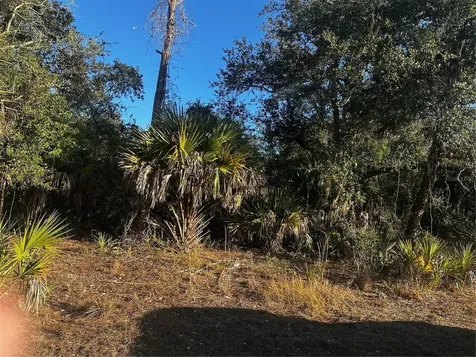 Lanai Avenue North Port FL 34288