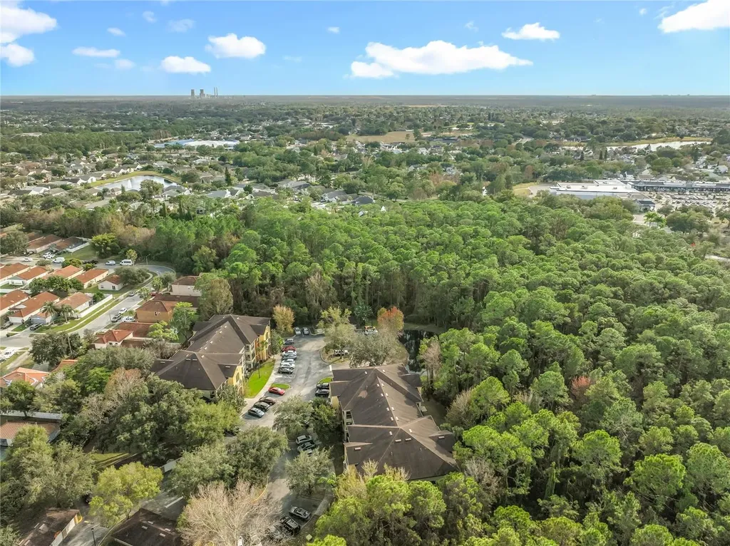 12602 Crest Springs Lane Orlando FL 32828