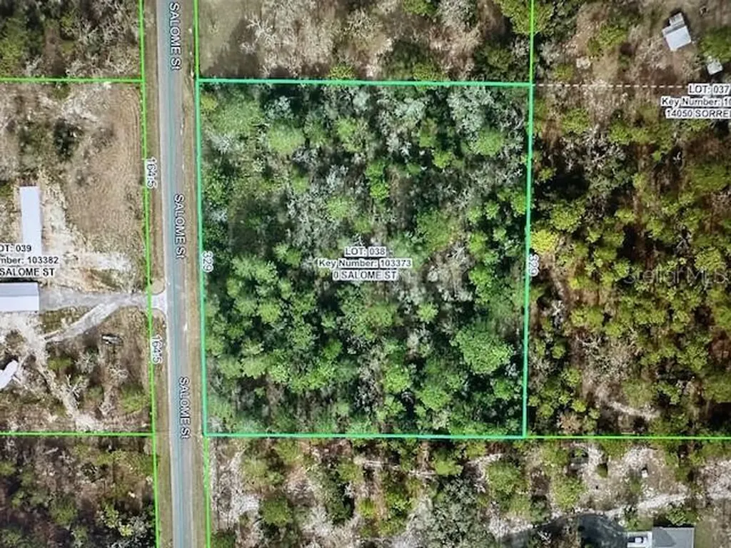 1304 Candlelight Boulevard Brooksville FL 34601