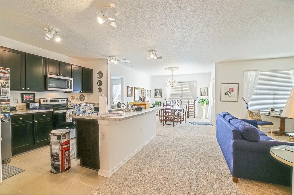 3886 SE 97th Lane Belleview FL 34420