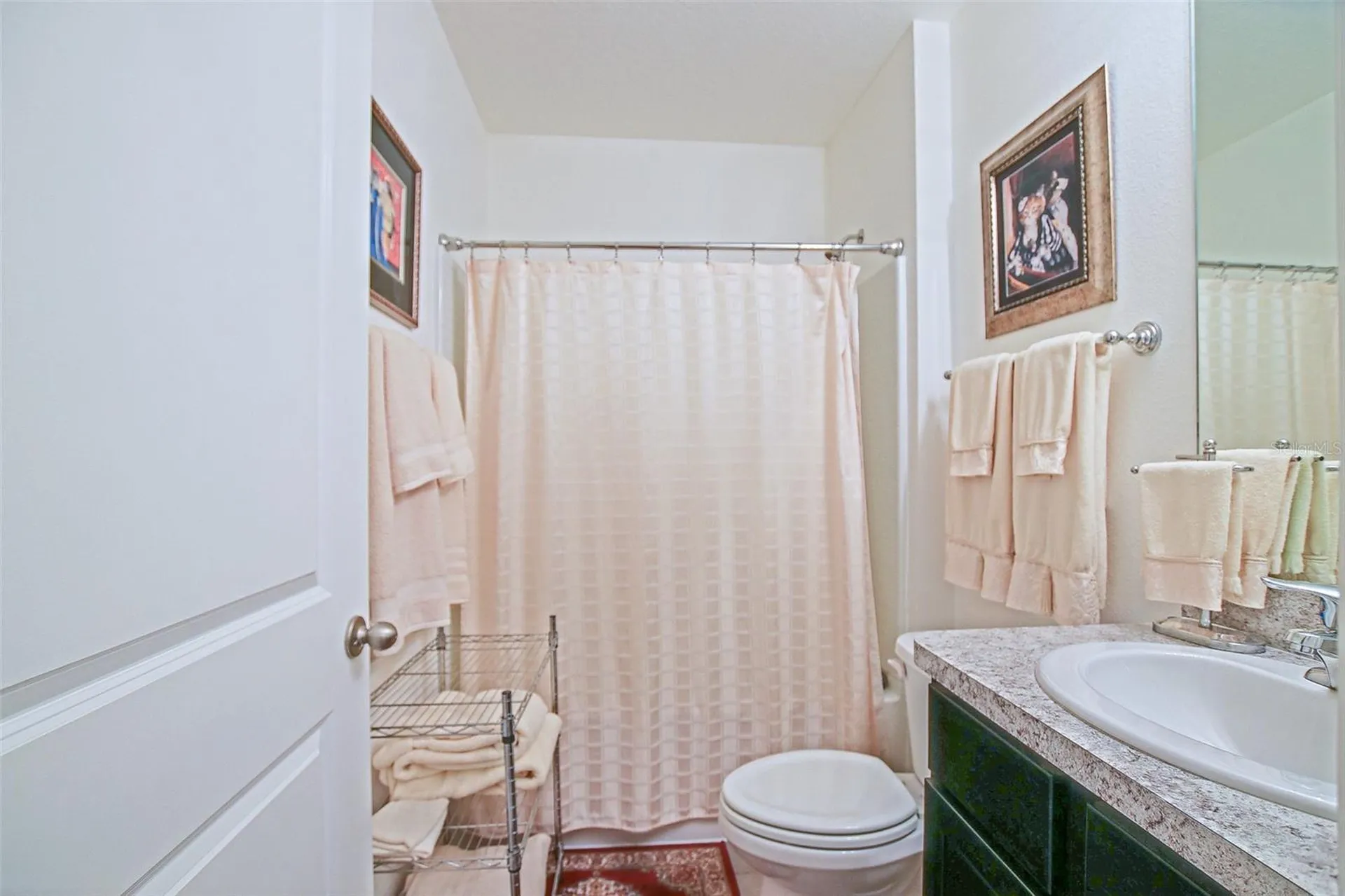 3886 SE 97th Lane Belleview FL 34420