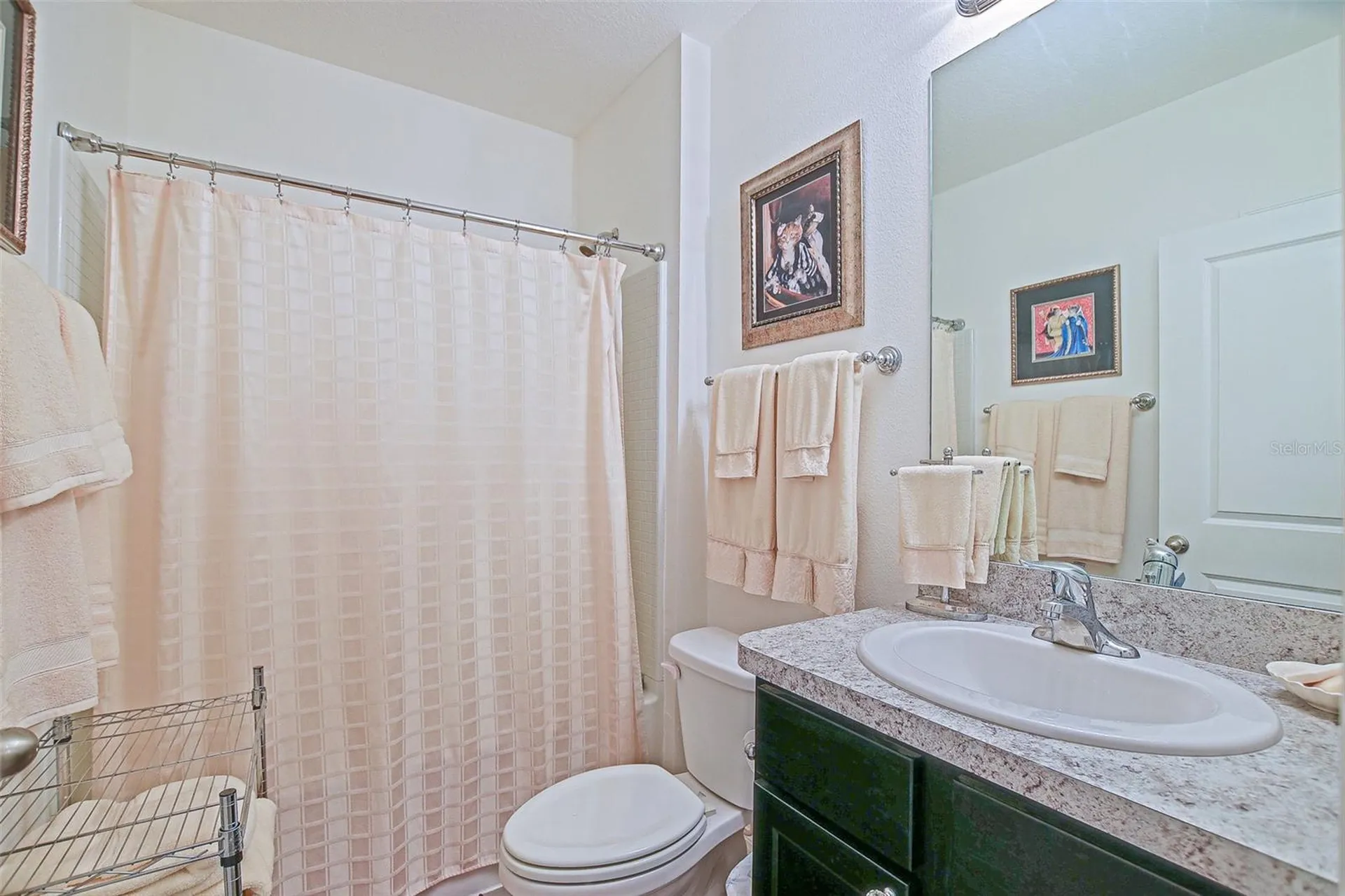 3886 SE 97th Lane Belleview FL 34420