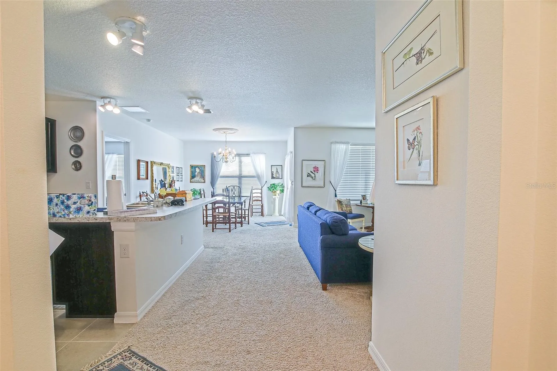 3886 SE 97th Lane Belleview FL 34420