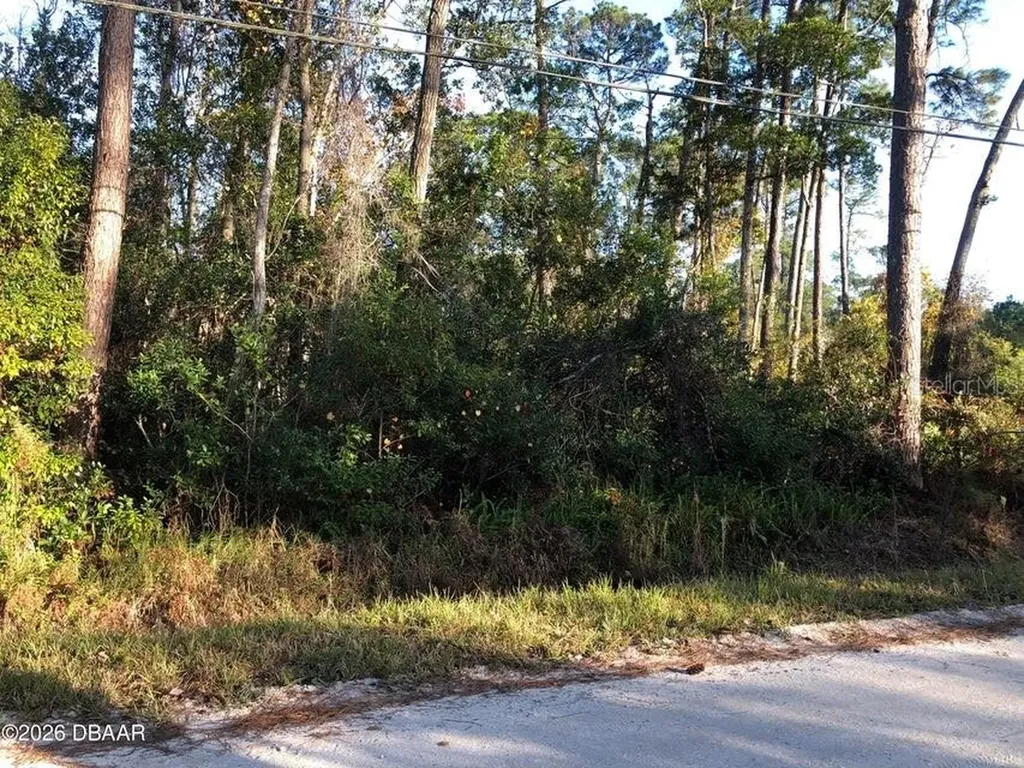 1545 10th Avenue Deland FL 32724