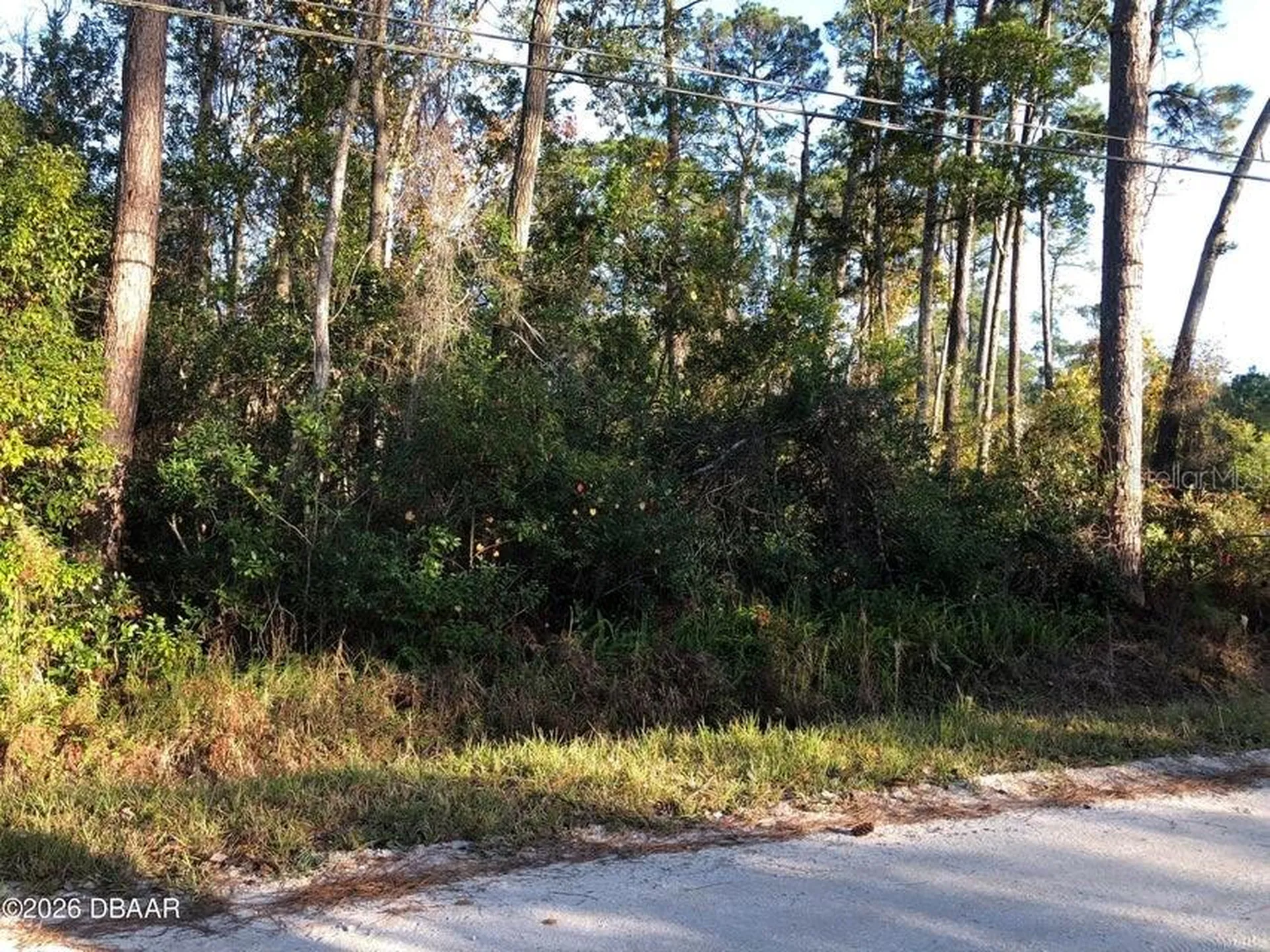 1545 10th Avenue Deland FL 32724