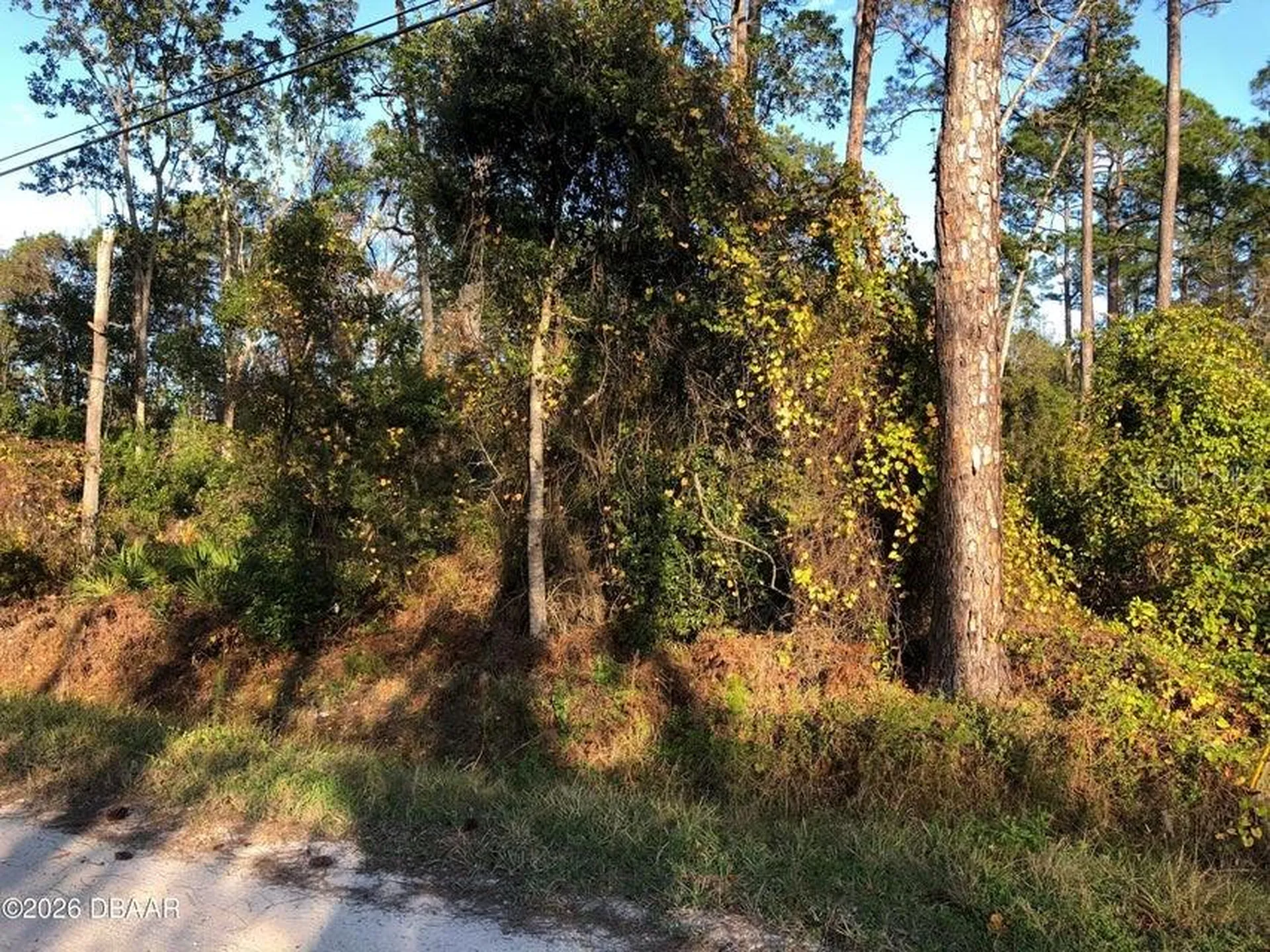 1545 10th Avenue Deland FL 32724