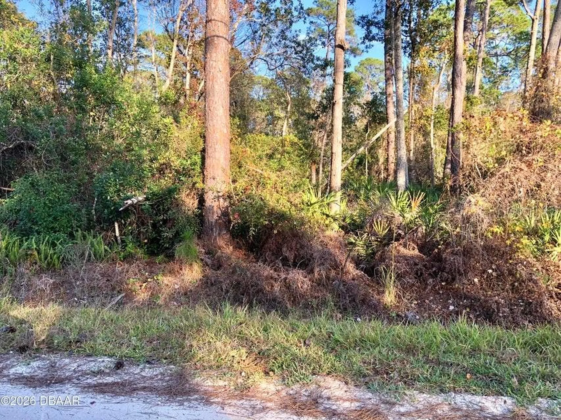1545 10th Avenue Deland FL 32724