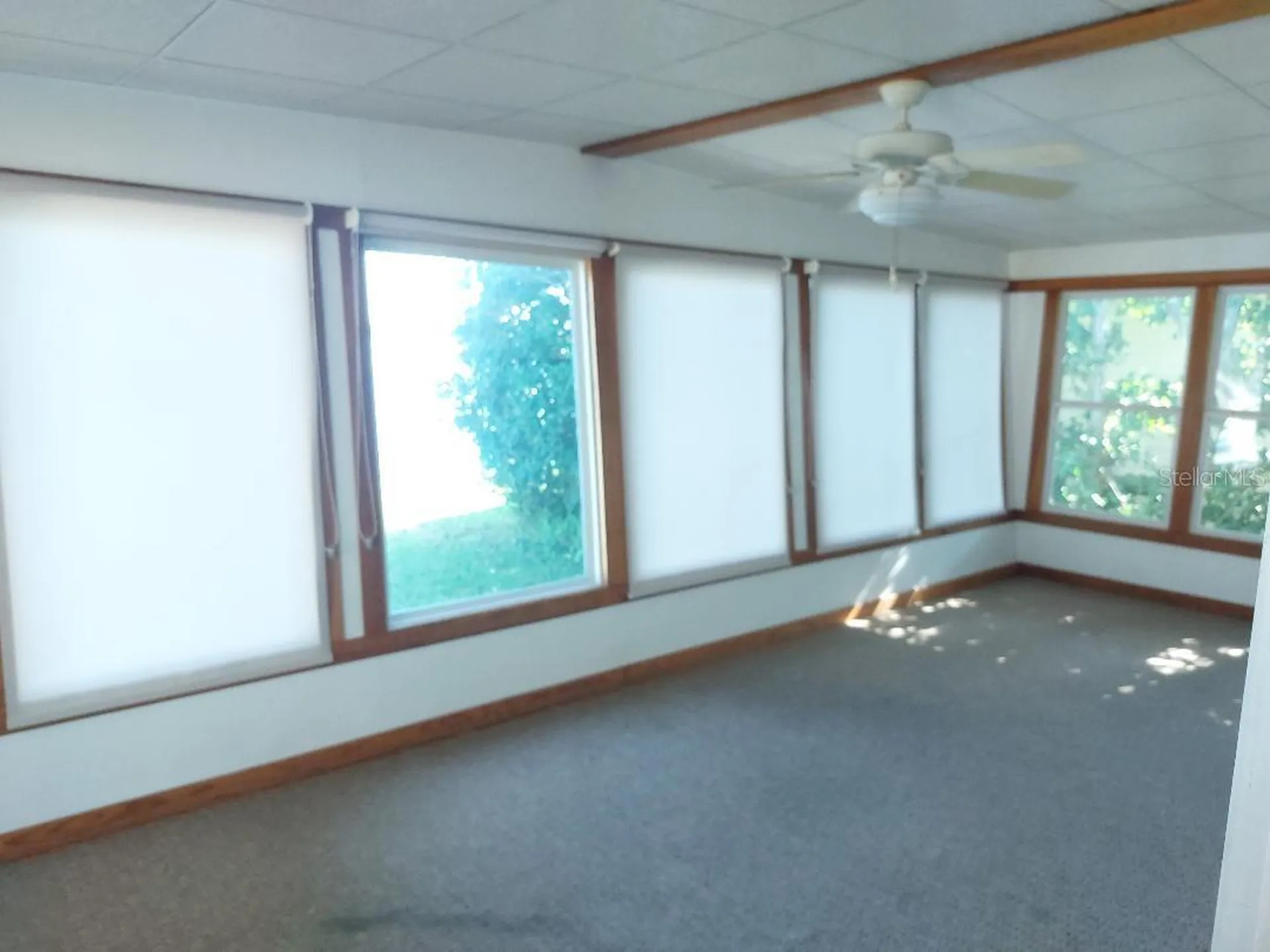 272 Philadelphia Boulevard Palm Harbor FL 34684