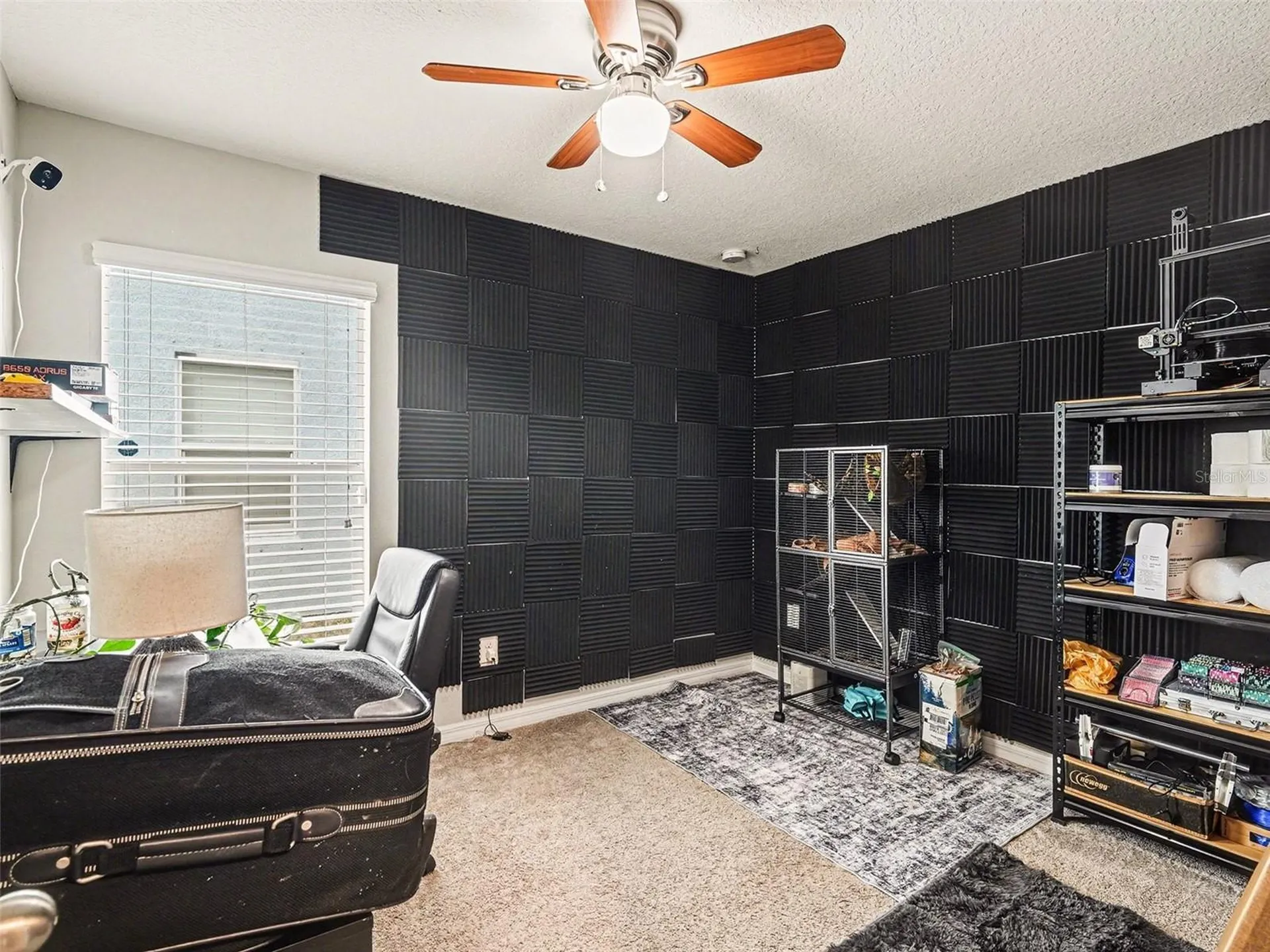 17207 Beach Buttercup Place Wimauma FL 33598