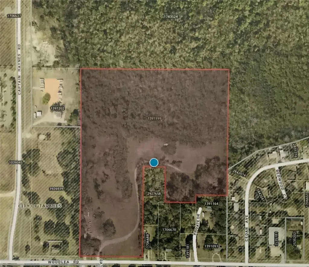 12301 Woodlea Road Tavares FL 32778