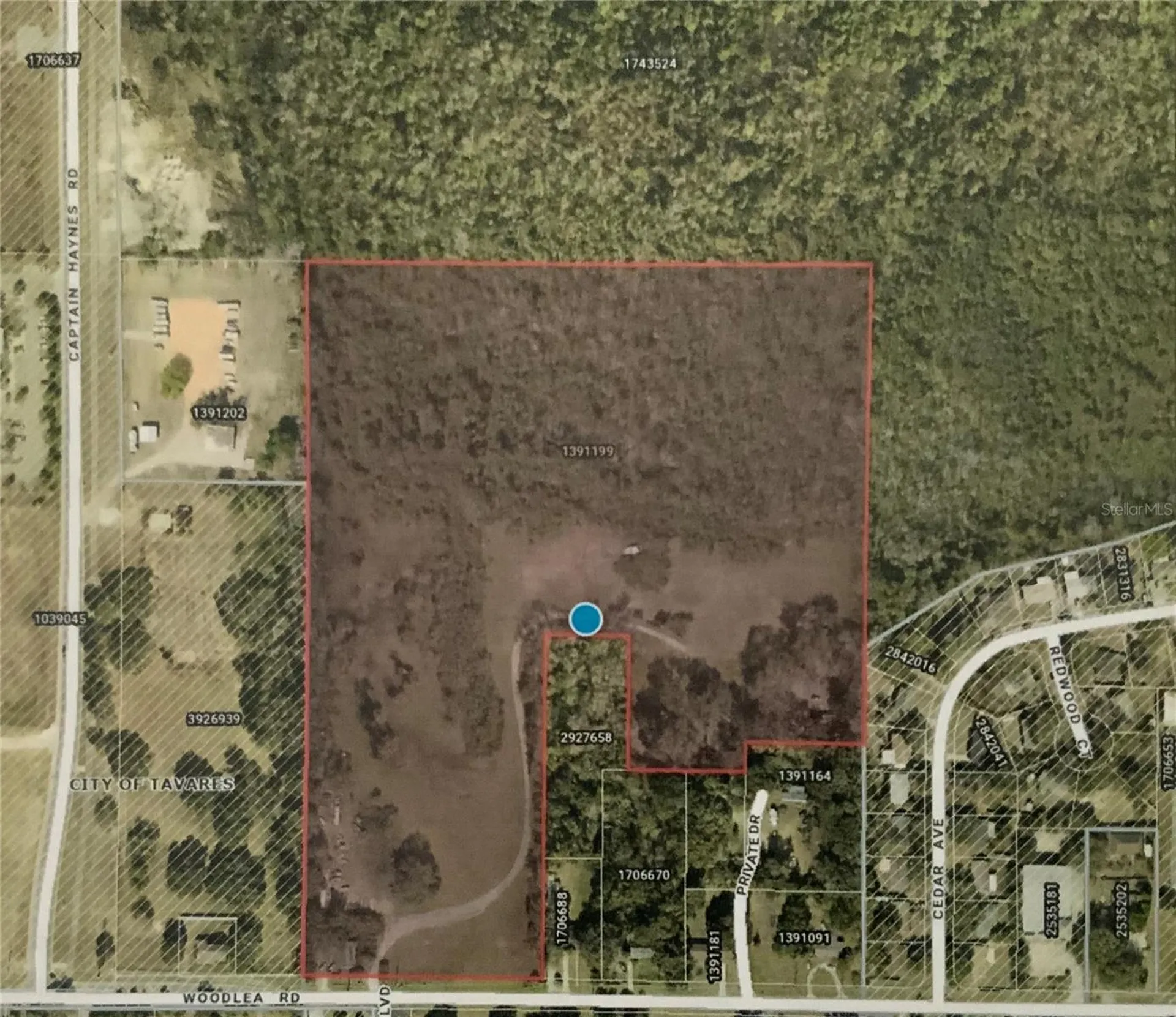 12301 Woodlea Road Tavares FL 32778