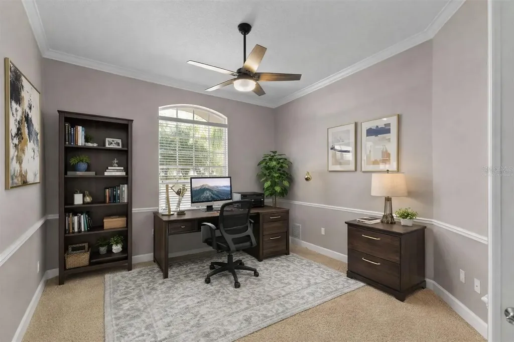3830 Moreno Drive Palm Harbor FL 34685