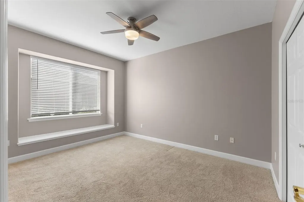 3830 Moreno Drive Palm Harbor FL 34685