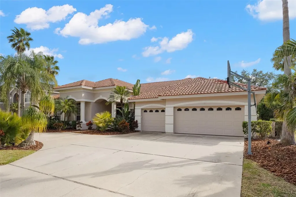 3830 Moreno Drive Palm Harbor FL 34685