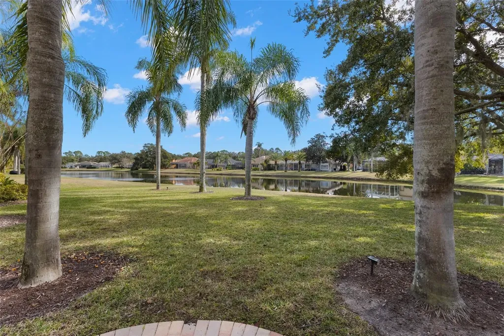 3830 Moreno Drive Palm Harbor FL 34685