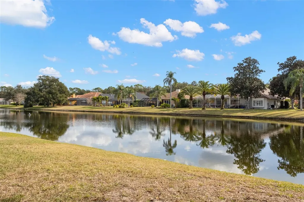 3830 Moreno Drive Palm Harbor FL 34685