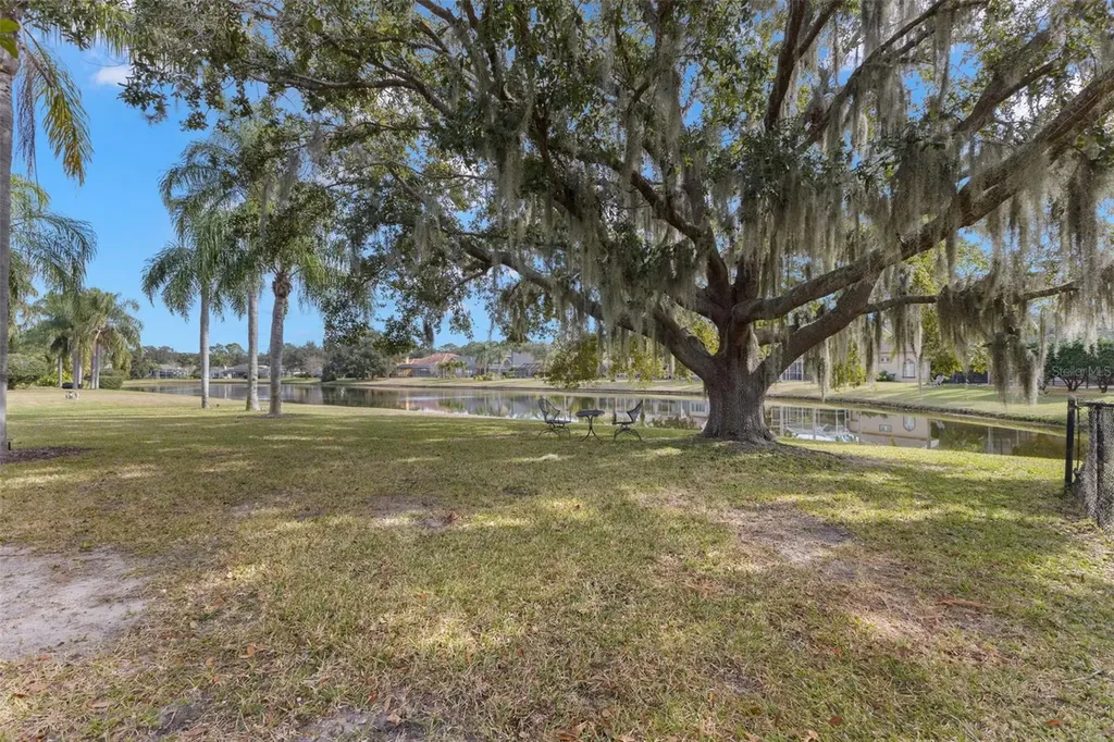 3830 Moreno Drive Palm Harbor FL 34685