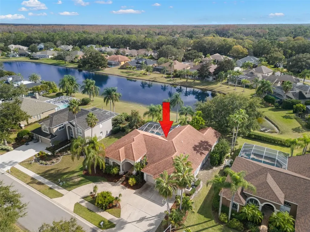 3830 Moreno Drive Palm Harbor FL 34685