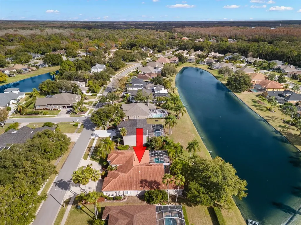 3830 Moreno Drive Palm Harbor FL 34685