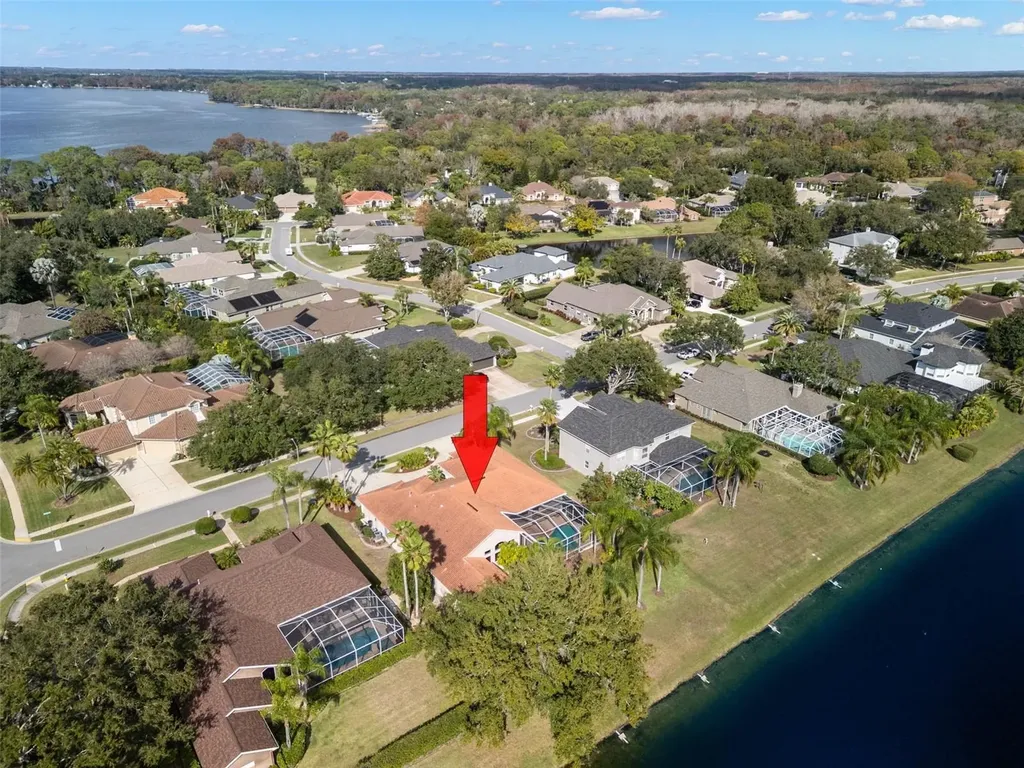 3830 Moreno Drive Palm Harbor FL 34685