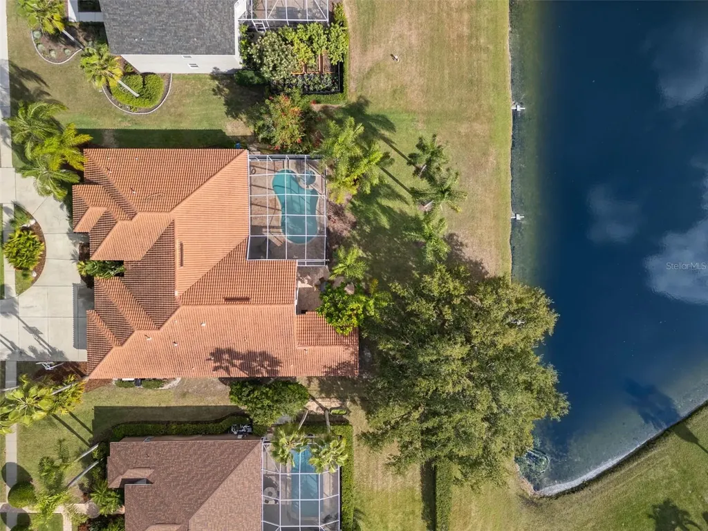 3830 Moreno Drive Palm Harbor FL 34685