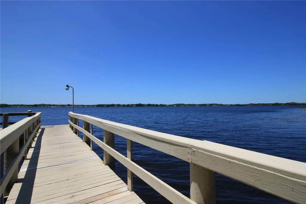 3830 Moreno Drive Palm Harbor FL 34685