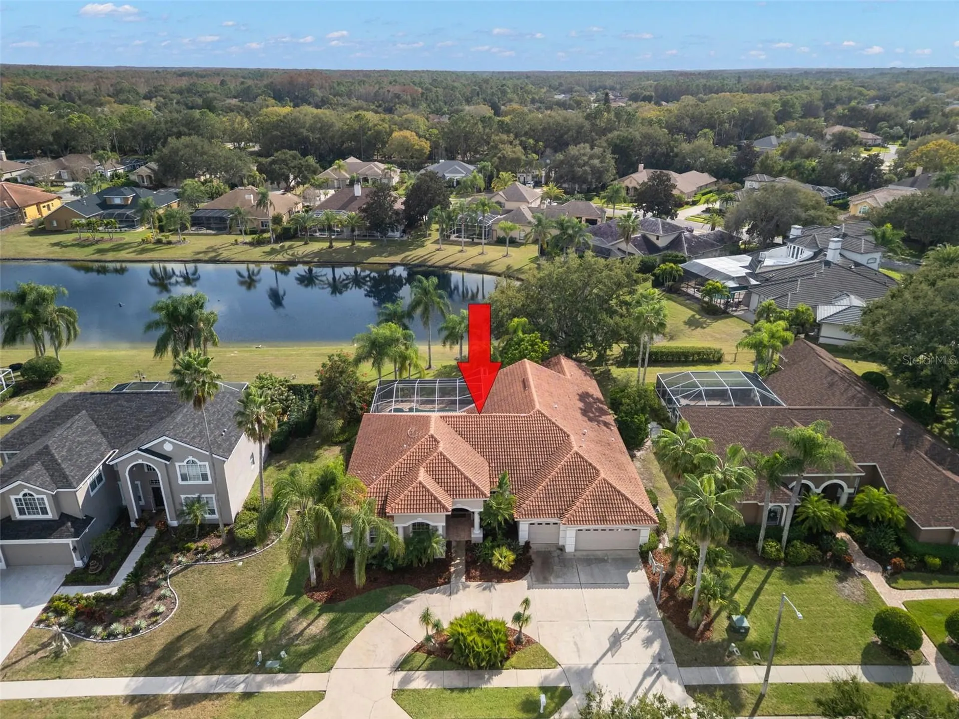 3830 Moreno Drive Palm Harbor FL 34685