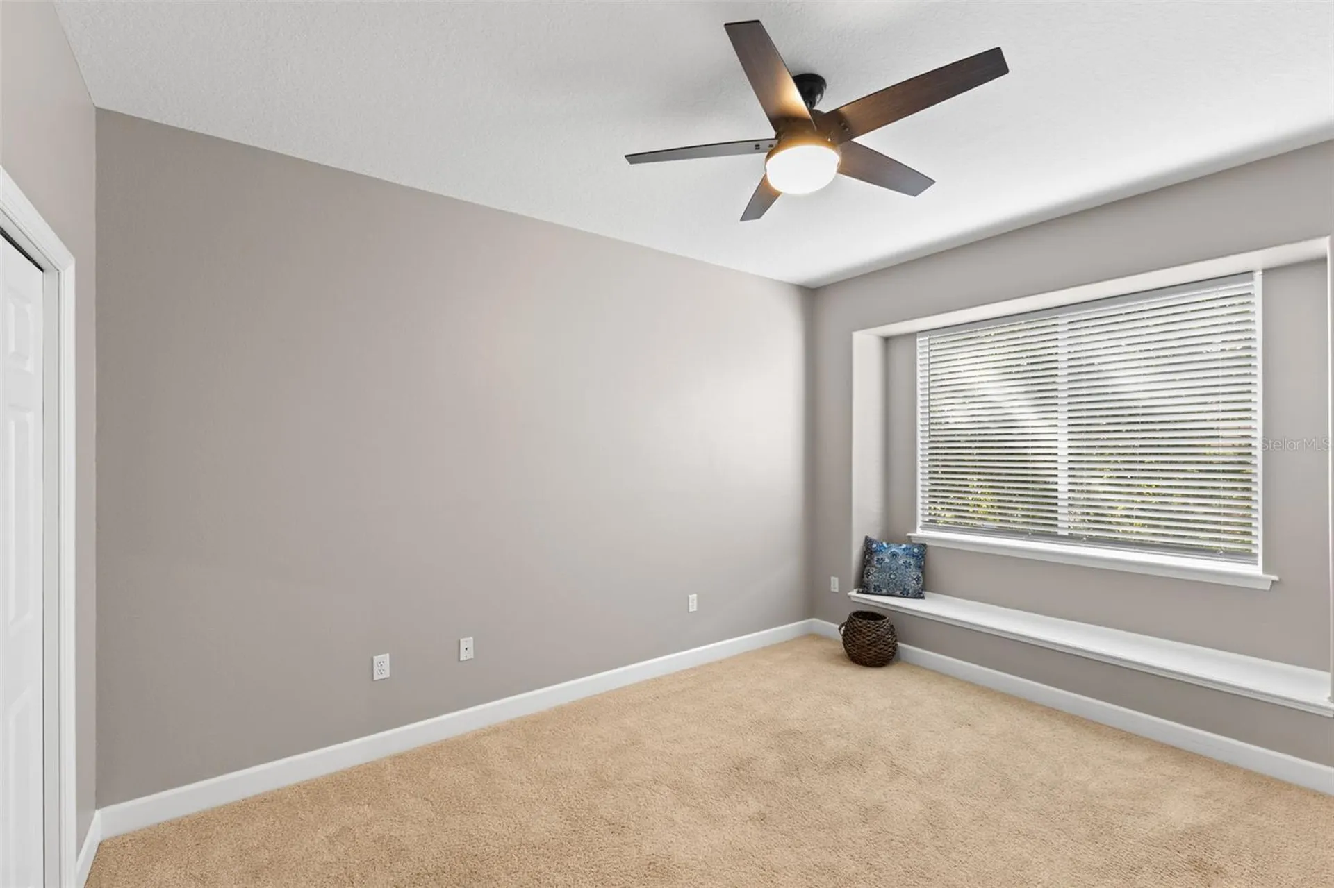 3830 Moreno Drive Palm Harbor FL 34685