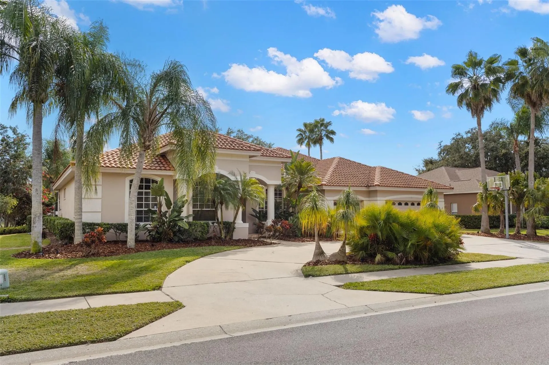 3830 Moreno Drive Palm Harbor FL 34685