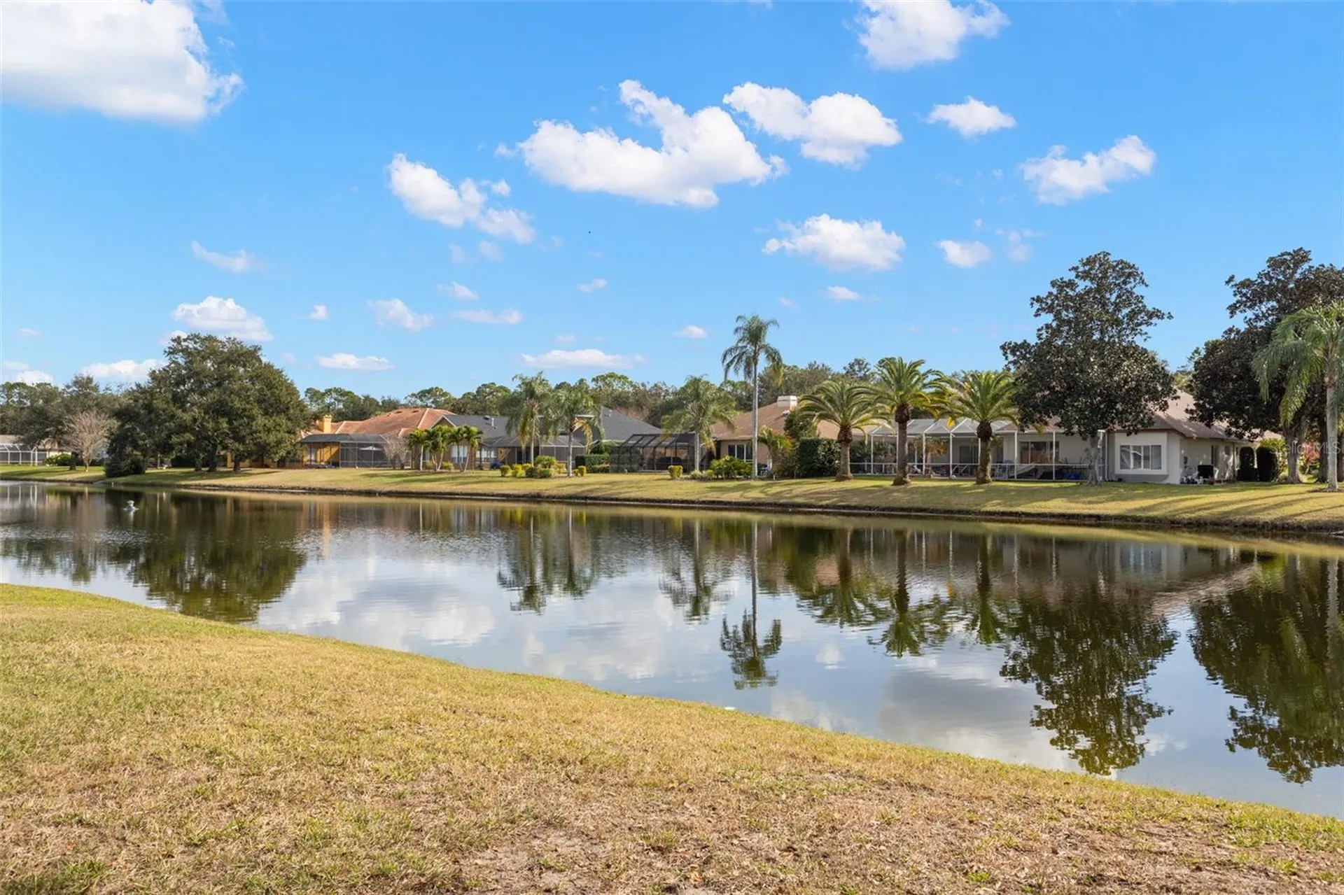 3830 Moreno Drive Palm Harbor FL 34685
