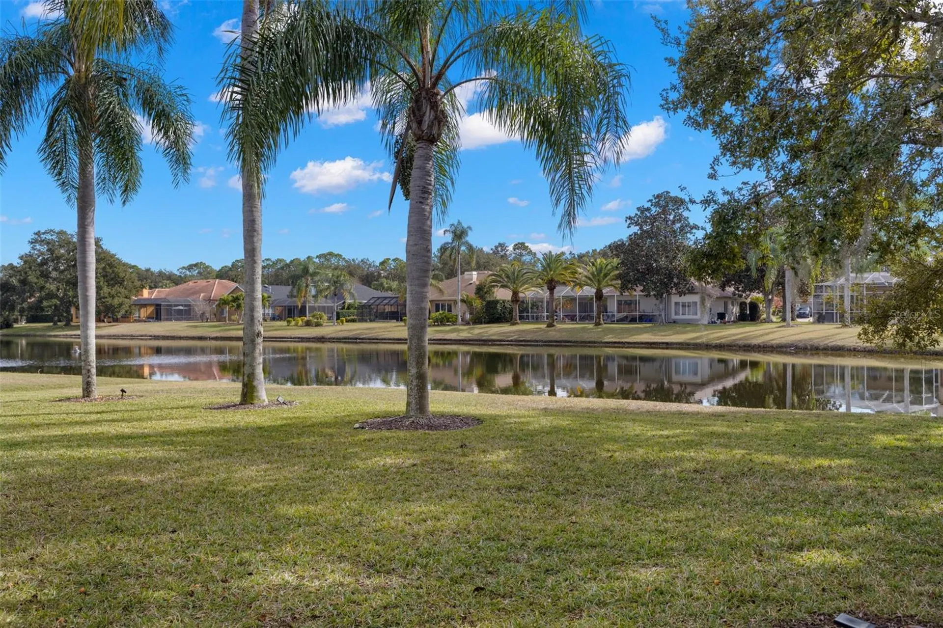 3830 Moreno Drive Palm Harbor FL 34685