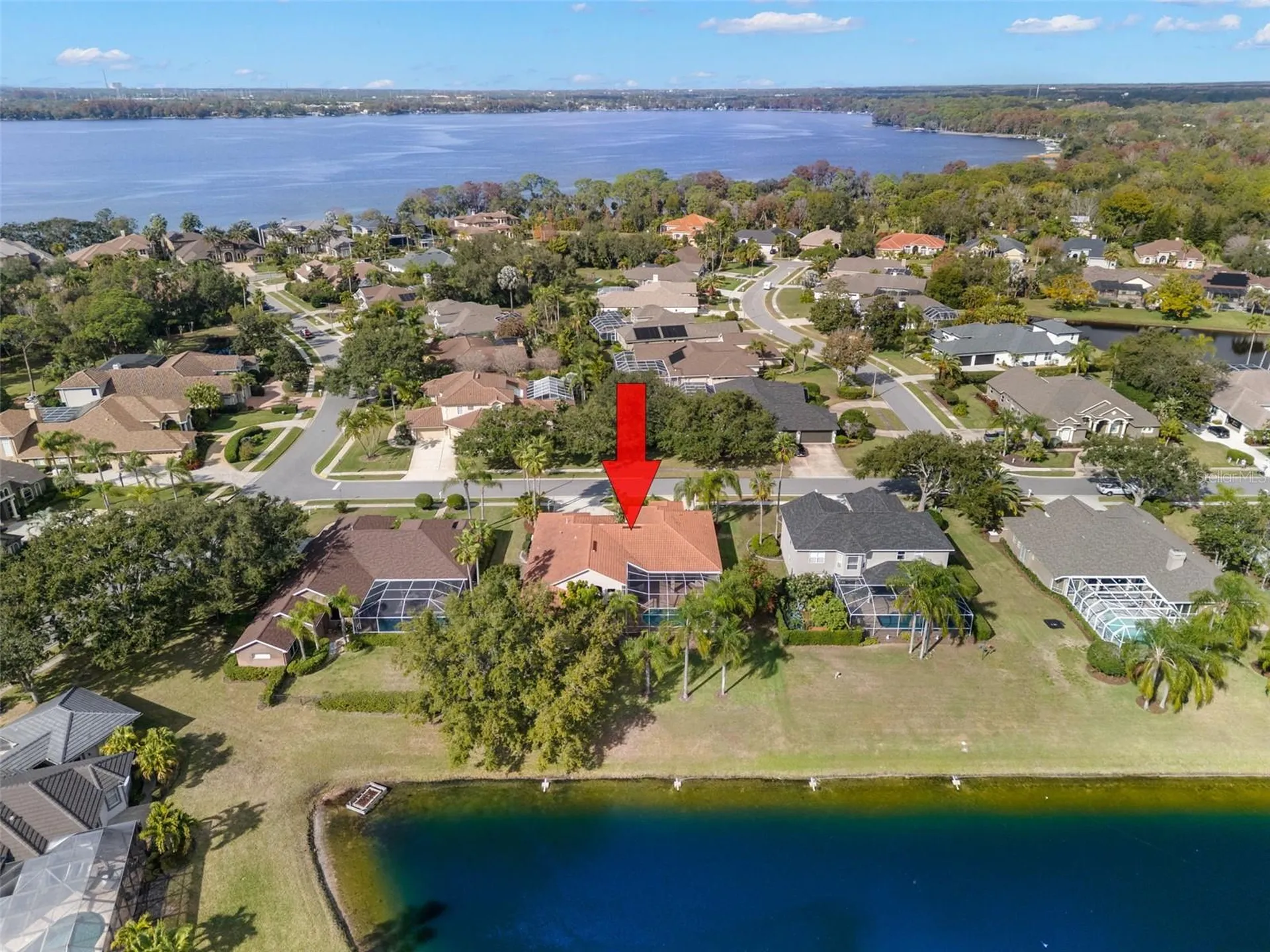 3830 Moreno Drive Palm Harbor FL 34685