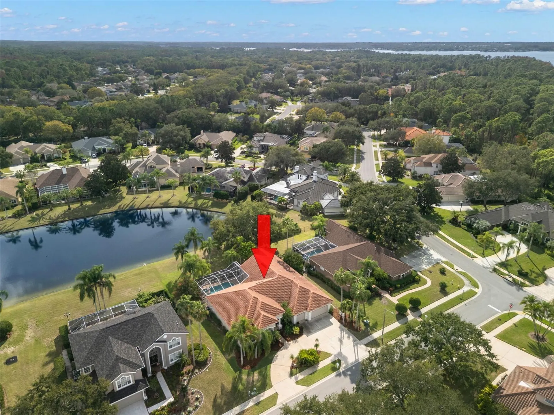 3830 Moreno Drive Palm Harbor FL 34685