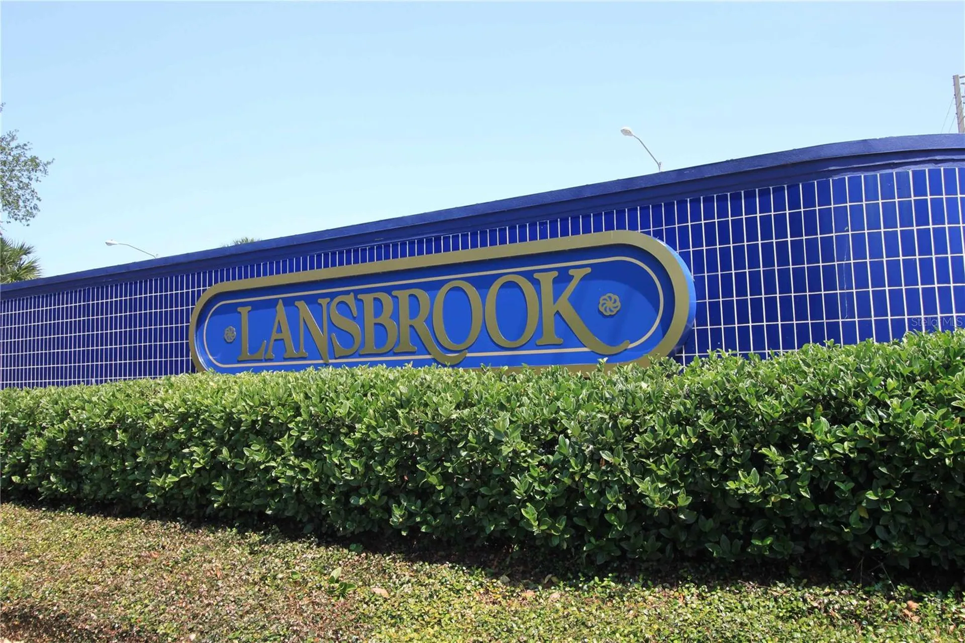 3830 Moreno Drive Palm Harbor FL 34685