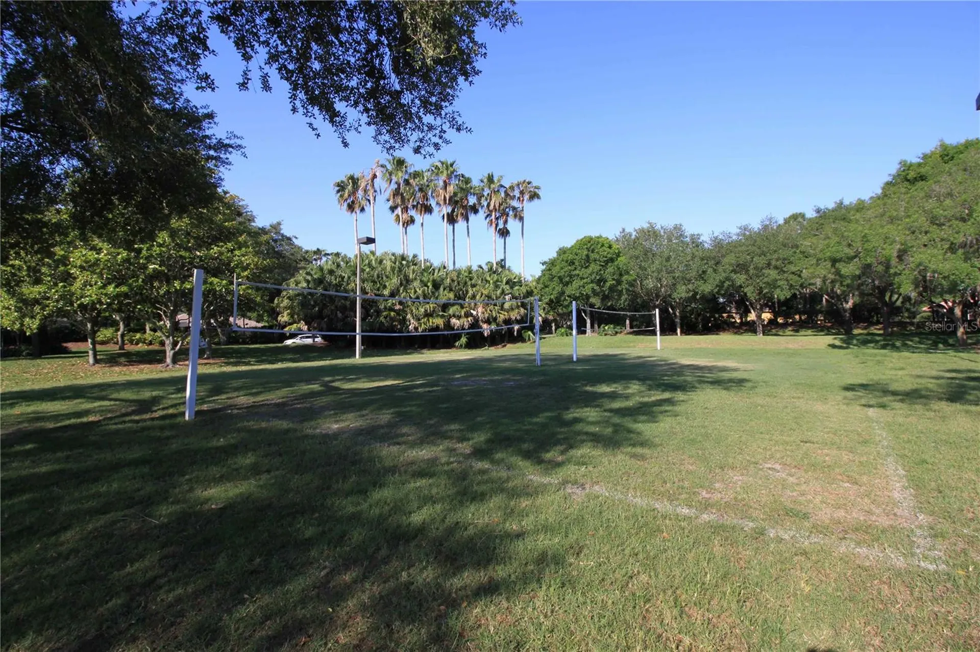 3830 Moreno Drive Palm Harbor FL 34685