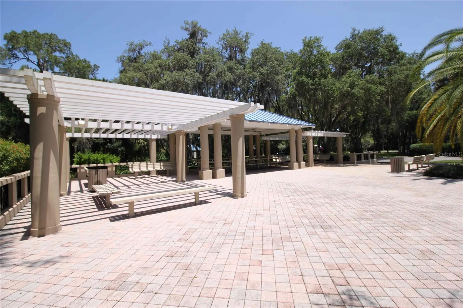 3830 Moreno Drive Palm Harbor FL 34685