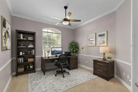 3830 Moreno Drive Palm Harbor FL 34685