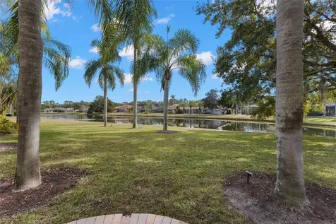 3830 Moreno Drive Palm Harbor FL 34685