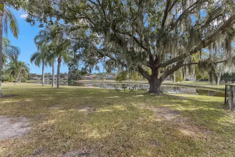 3830 Moreno Drive Palm Harbor FL 34685
