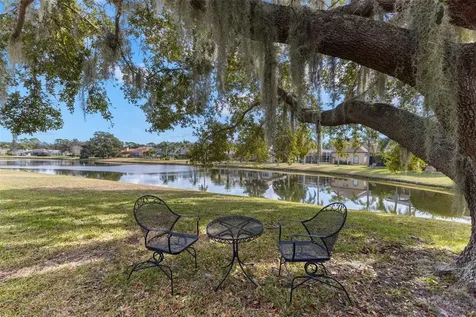 3830 Moreno Drive Palm Harbor FL 34685