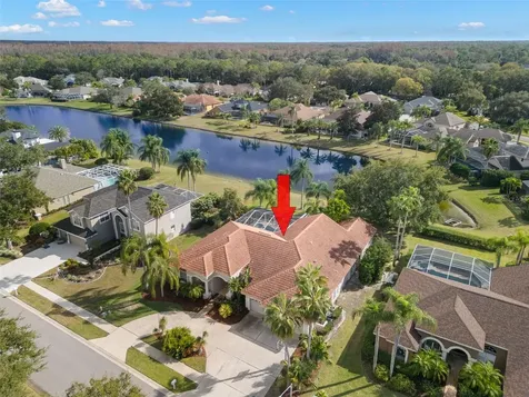3830 Moreno Drive Palm Harbor FL 34685