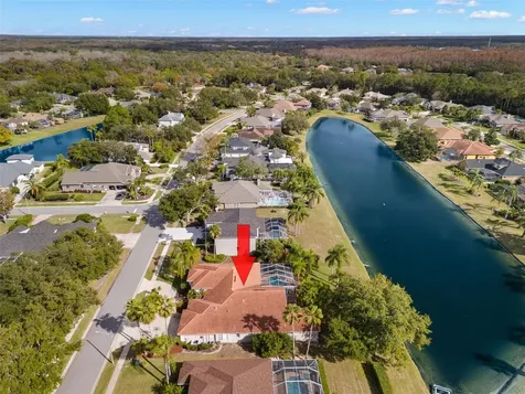 3830 Moreno Drive Palm Harbor FL 34685