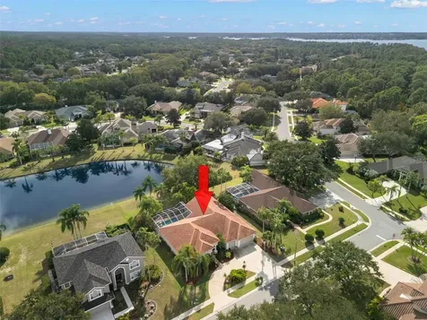 3830 Moreno Drive Palm Harbor FL 34685