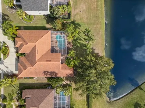 3830 Moreno Drive Palm Harbor FL 34685