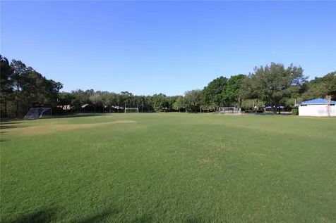 3830 Moreno Drive Palm Harbor FL 34685