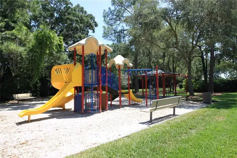 3830 Moreno Drive Palm Harbor FL 34685