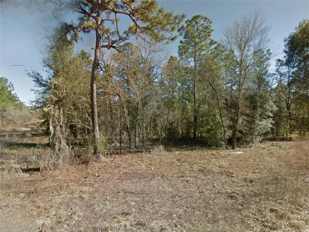 NE 15th Lane Lot 11 Williston FL 32696