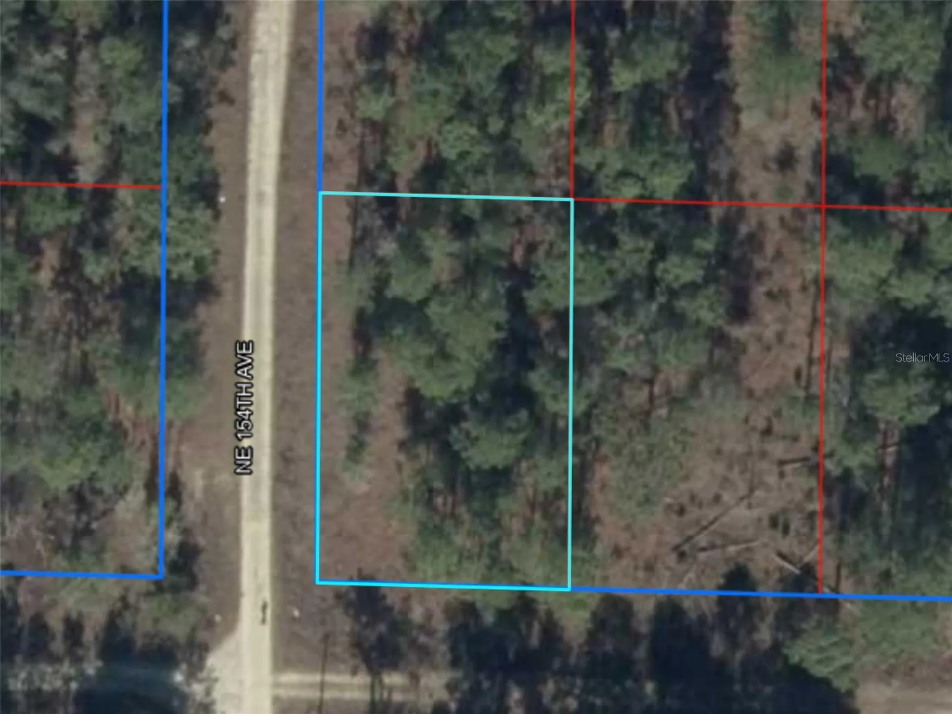 NE 15th Lane Lot 11 Williston FL 32696